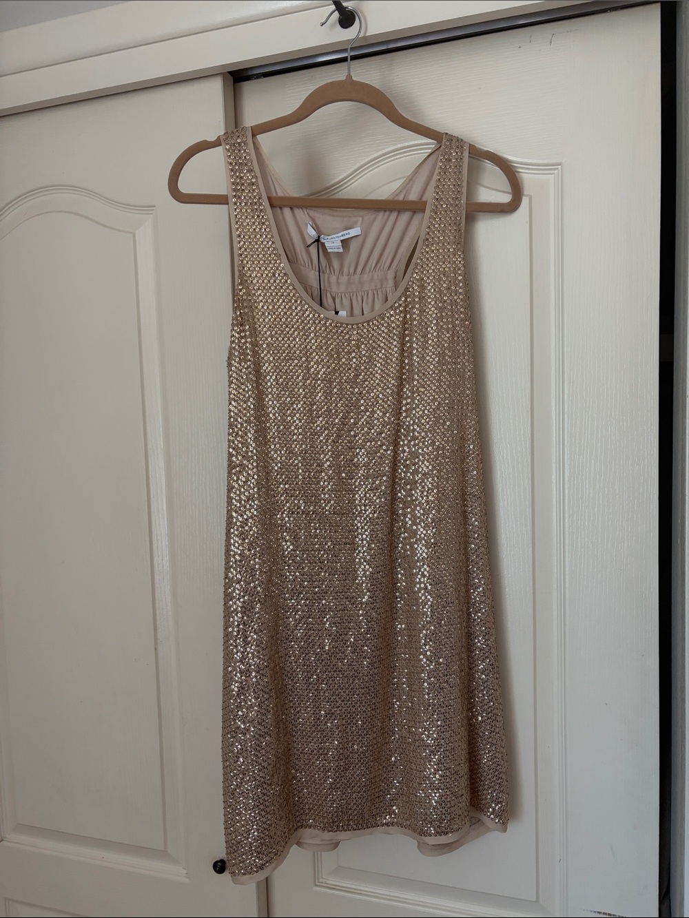 Rare, Sequin Scoop Neck Party Dress in Champagne